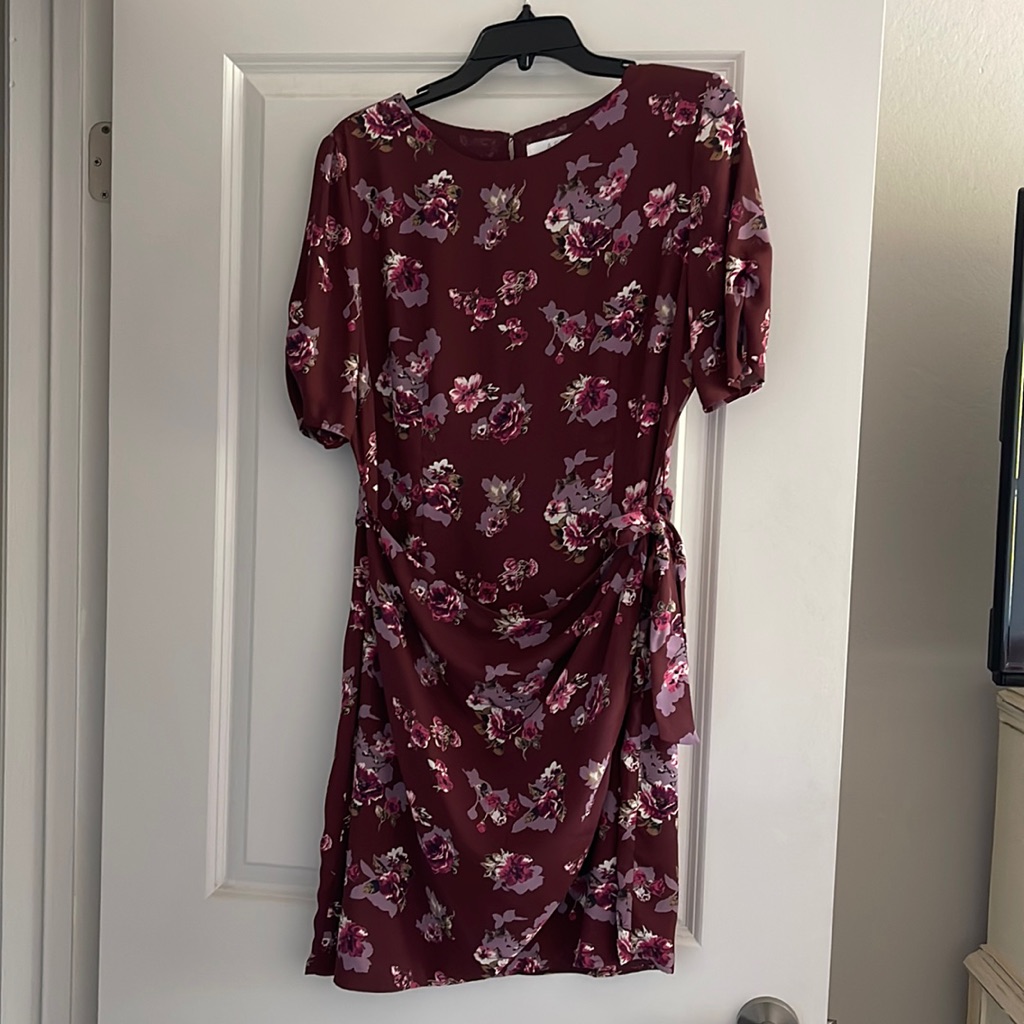 Brand New Astr The Label Dress